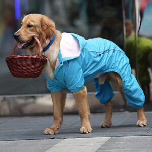 Как выбрать качественный дождевик для собаки